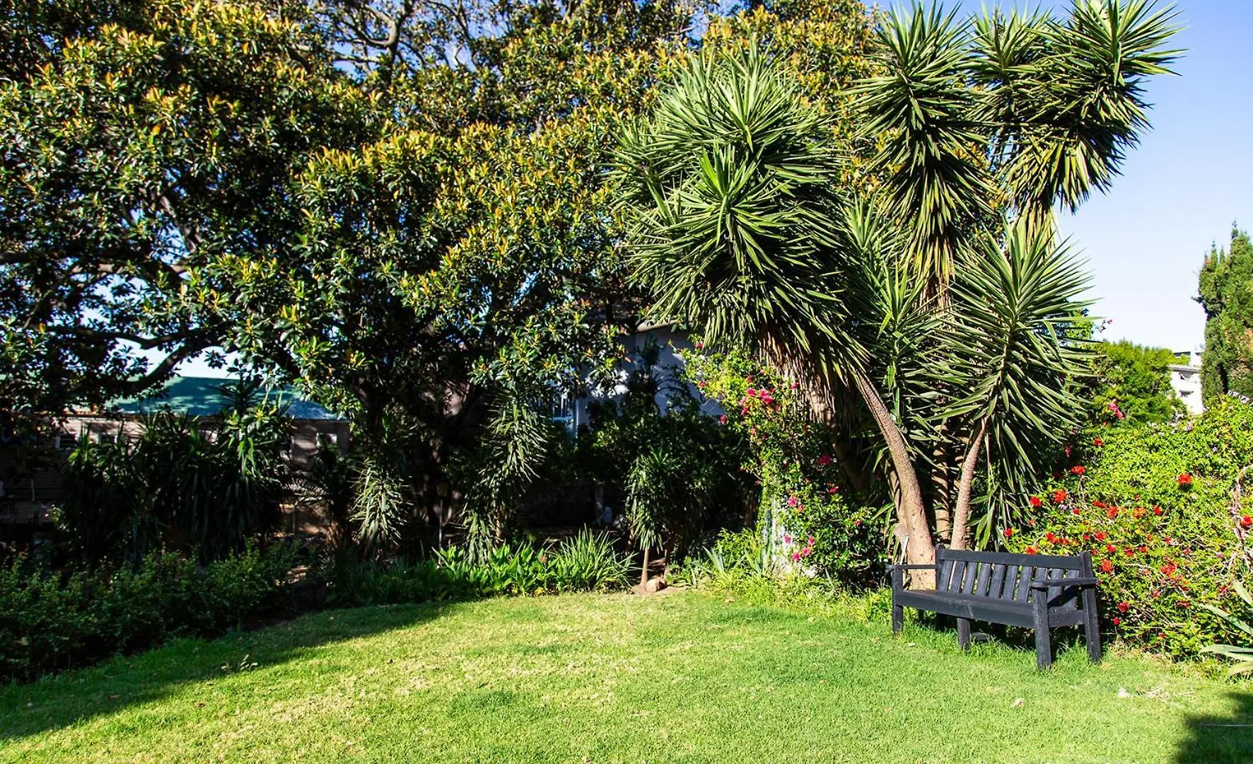 Modern Family Studio In Green Point With Parking & Pool Cape Town Daire