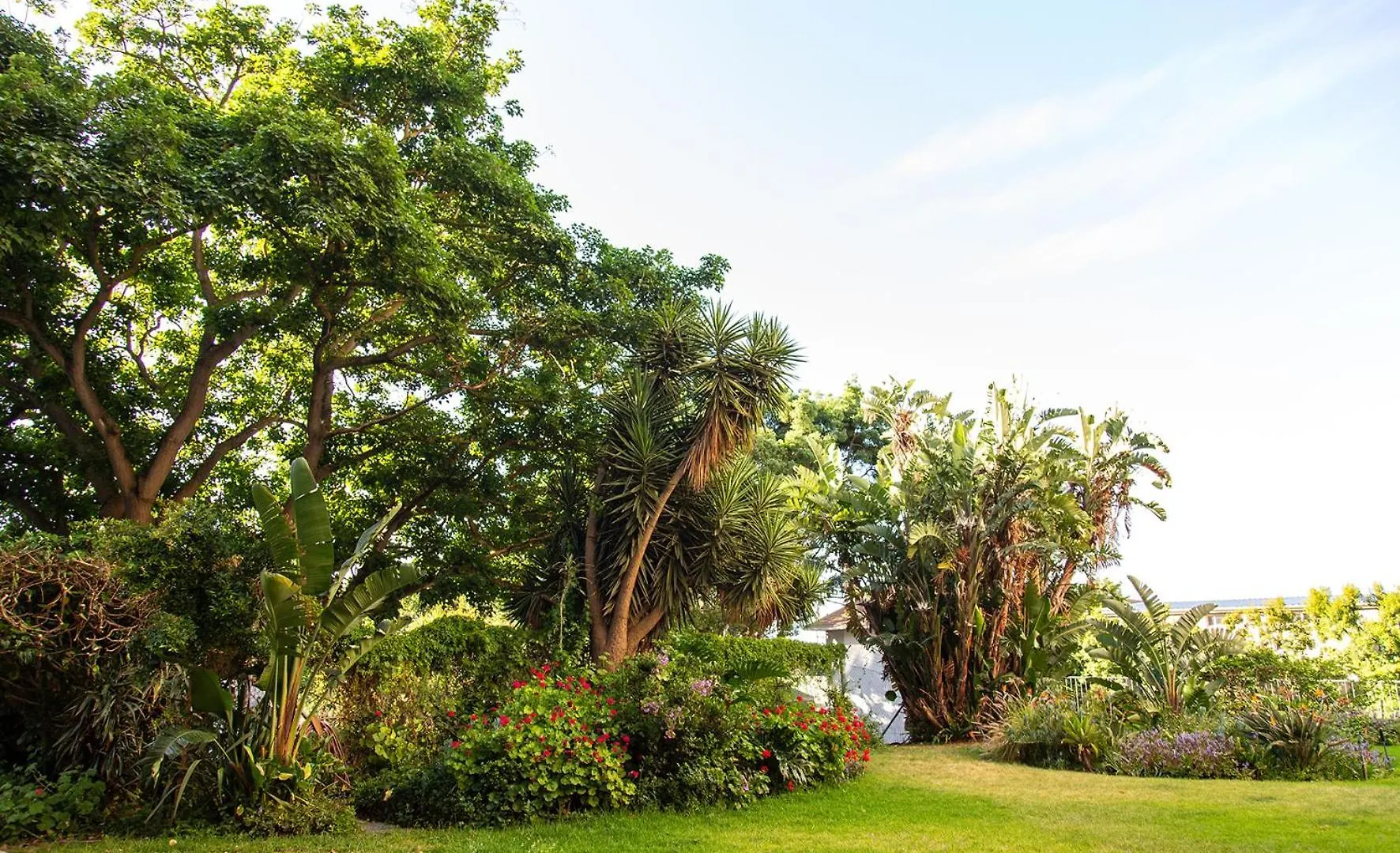Daire Modern Family Studio In Green Point With Parking & Pool Cape Town
