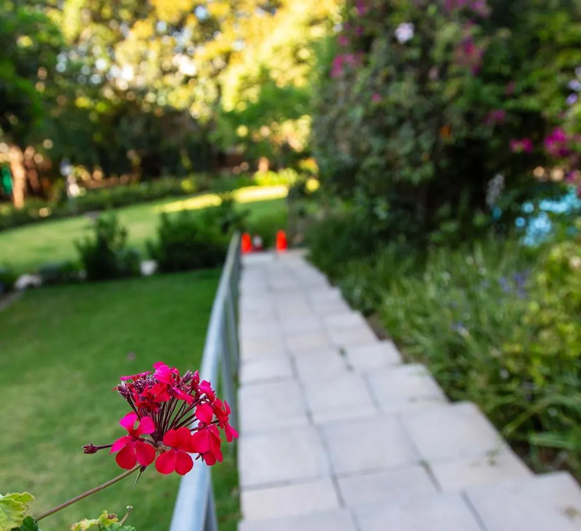 Daire Modern Family Studio In Green Point With Parking & Pool Cape Town